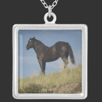 Percheron PMU Horse Necklace necklaces