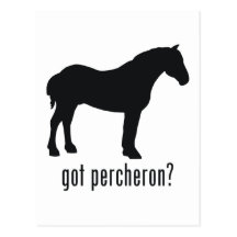 Percheron Postcard