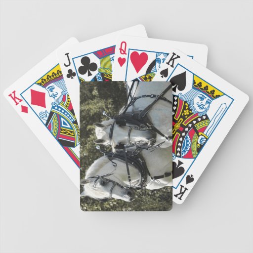 Percheron Team Card Decks