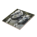 Percheron Team Ceramic Tiles