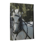 Percheron Team iPad Folio Covers