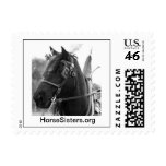 Percheron Thunder In Harness Postage Stamp