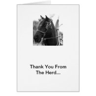 Percheron Thunder In Harness Thank You Cards