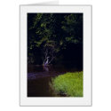 Percival's Isle, Lynchburg Virginia cards