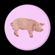 Percy the Pig magnets