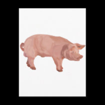 Percy the Pig postcards