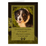 Pérdida de una tarjeta de condolencia del mascota  tarjetas