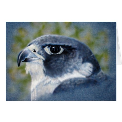 Peregrine-airbrush Cards
