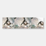 Peregrine Bumper Stickers