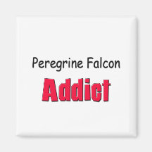 Peregrine Falcon Addict Magnet