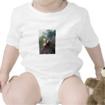 Peregrine Falcon Baby Creeper