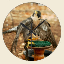 peregrine falcon bird wall clock wall clocks