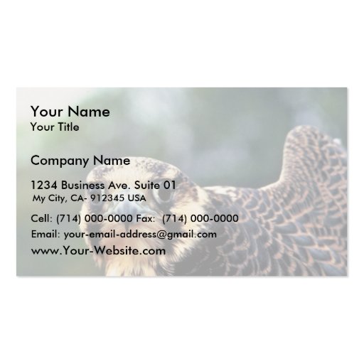 Peregrine Falcon Business Card Templates (front side)