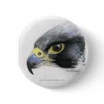 "Peregrine Falcon" button