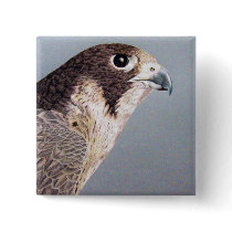 Peregrine Falcon Pin