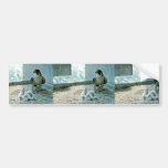 Peregrine Falcon Chicks, Female Bumper Sticker