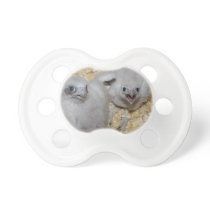 Peregrine Falcon eyas Pacifier pacifiers