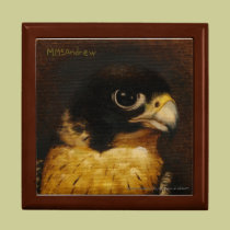 Peregrine Falcon Gift Box gift boxes