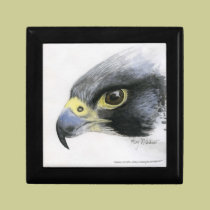 Peregrine Falcon Gift Box gift boxes