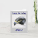 Peregrine Falcon-Happy Birthday Card