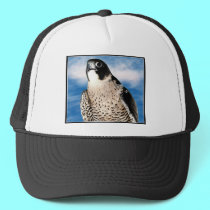 Peregrine Falcon hats by Artists4God Peregrine Falcon hats