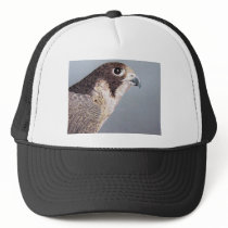 Peregrine Falcon Hat