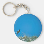 Peregrine Falcon Key Chain