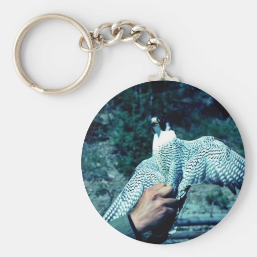 Peregrine Falcon Key Chain