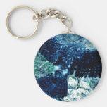 Peregrine Falcon Key Chains