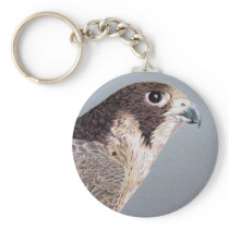 Peregrine Falcon Keychain