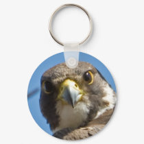 Peregrine Falcon Keychain by ndcsbd1 Peregrine Falcon Keychain