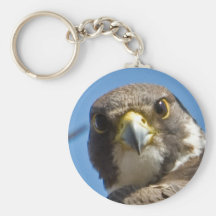 Peregrine Falcon Keychain