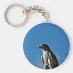 Peregrine Falcon Keychains