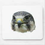 Peregrine Falcon Mousepad