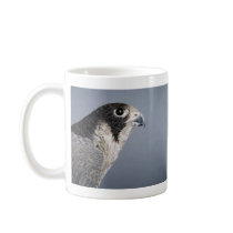 Peregrine Falcon Mug