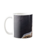 Peregrine Falcon Mug