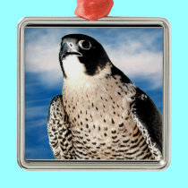 Peregrine Falcon ornaments