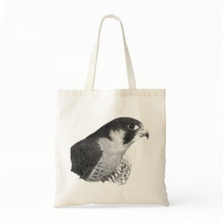 Peregrine Falcon-Pencil bag