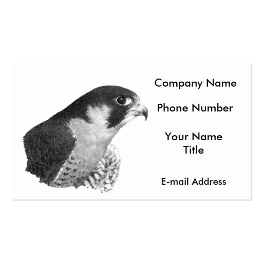 Peregrine Falcon-Pencil Business Card (front side)