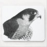 Peregrine Falcon-Pencil Mousepads