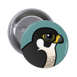 Peregrine Falcon Pinback Buttons