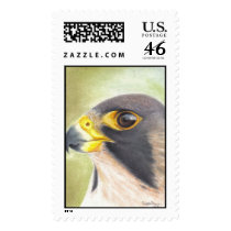 peregrine falcon stamp