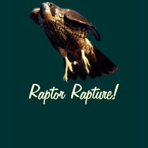 PEREGRINE FALCON Wildlife Raptor Bird Shirt