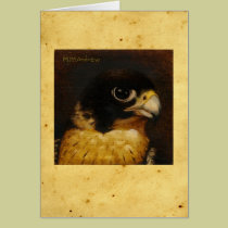 Peregrine Falcon with antiqued background cards