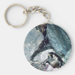 Peregrine Falcon with chicks Keychain