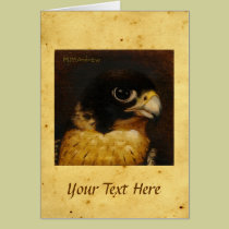 Peregrine Falcon with parchment background cards