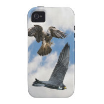 Peregrine Falcons in flight Case-Mate iPhone 4 casemate cases