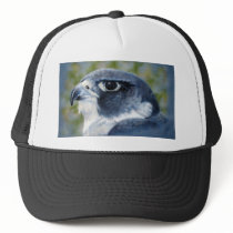 Peregring airbrush hats