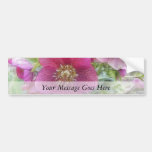 Perennial Plants - Purple Hellebore Bumper Stickers