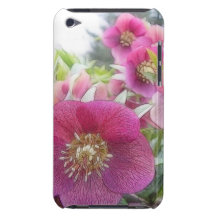 Perennial Plants - Purple Hellebore Barely There iPod Covers